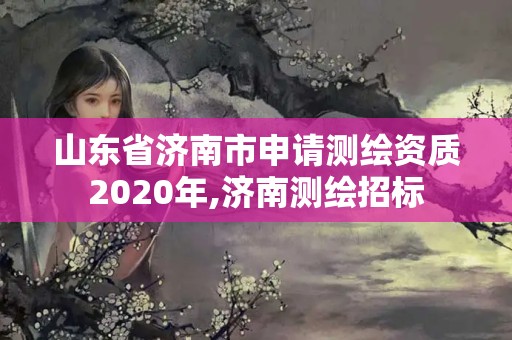 山東省濟南市申請測繪資質2020年,濟南測繪招標