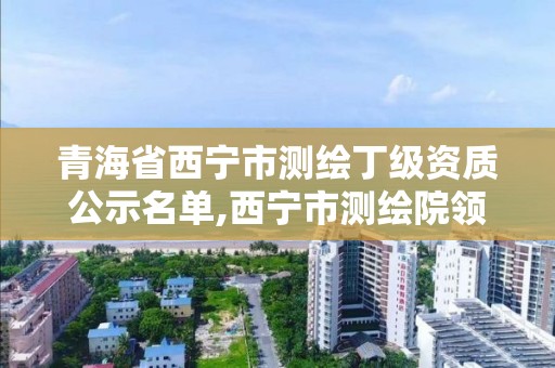 青海省西寧市測繪丁級資質公示名單,西寧市測繪院領導班子成員