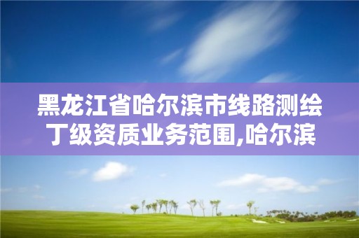 黑龍江省哈爾濱市線路測繪丁級資質業務范圍,哈爾濱測繪局幼兒園是民辦還是公辦。