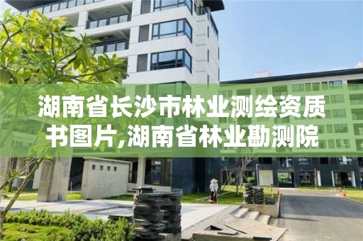 湖南省長沙市林業(yè)測繪資質(zhì)書圖片,湖南省林業(yè)勘測院