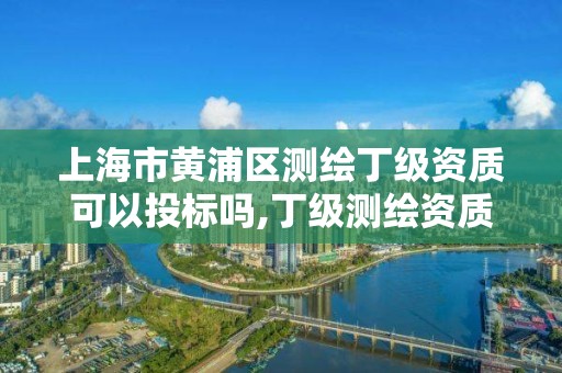 上海市黃浦區測繪丁級資質可以投標嗎,丁級測繪資質執業范圍