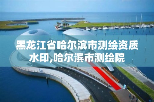 黑龍江省哈爾濱市測繪資質水印,哈爾濱市測繪院