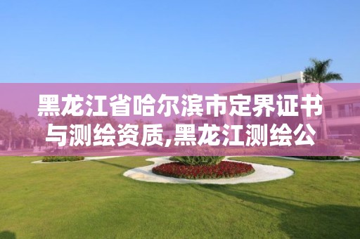 黑龍江省哈爾濱市定界證書(shū)與測(cè)繪資質(zhì),黑龍江測(cè)繪公司乙級(jí)資質(zhì)