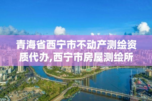 青海省西寧市不動產測繪資質代辦,西寧市房屋測繪所