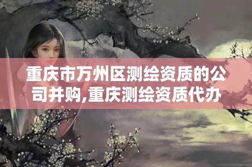 重慶市萬州區測繪資質的公司并購,重慶測繪資質代辦