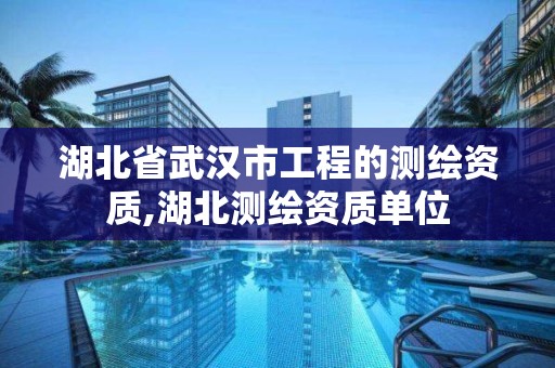 湖北省武漢市工程的測繪資質,湖北測繪資質單位