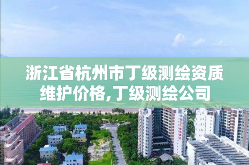 浙江省杭州市丁級測繪資質維護價格,丁級測繪公司