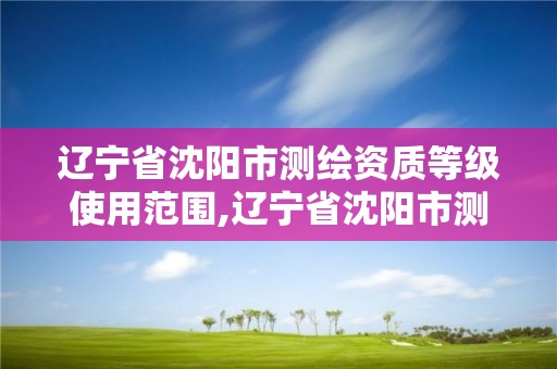 遼寧省沈陽市測繪資質等級使用范圍,遼寧省沈陽市測繪資質等級使用范圍有哪些。