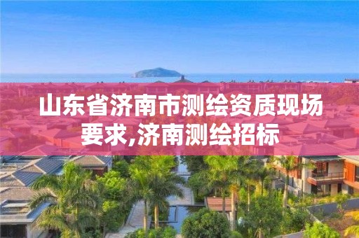 山東省濟南市測繪資質現場要求,濟南測繪招標