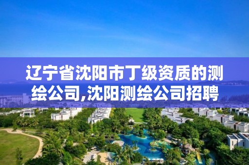 遼寧省沈陽市丁級資質(zhì)的測繪公司,沈陽測繪公司招聘信息最新招聘