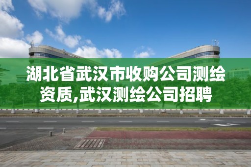 湖北省武漢市收購公司測繪資質,武漢測繪公司招聘