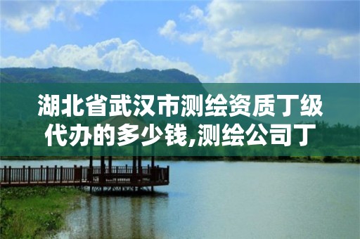 湖北省武漢市測繪資質丁級代辦的多少錢,測繪公司丁級資質。