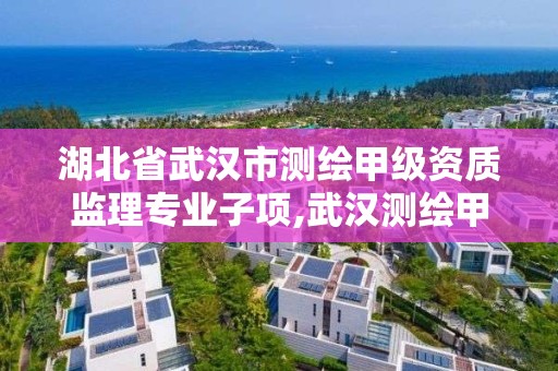 湖北省武漢市測繪甲級資質監理專業子項,武漢測繪甲級資質公司。