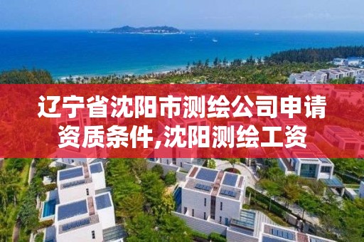 遼寧省沈陽市測繪公司申請資質條件,沈陽測繪工資