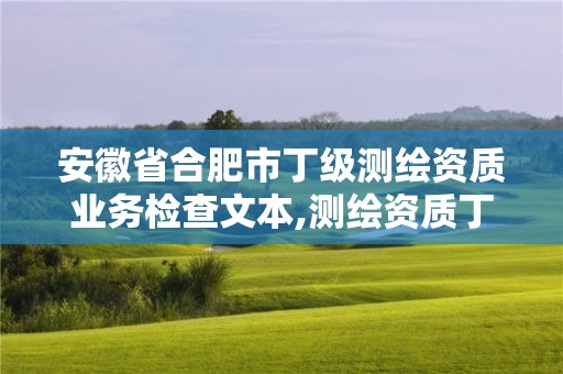 安徽省合肥市丁級測繪資質業務檢查文本,測繪資質丁級是什么意思。