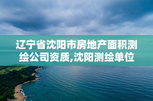 遼寧省沈陽市房地產面積測繪公司資質,沈陽測繪單位。