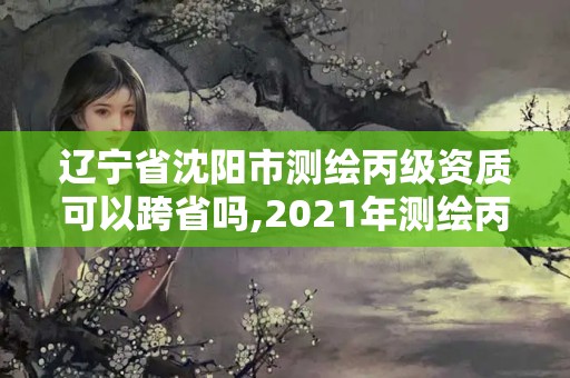 遼寧省沈陽市測繪丙級資質可以跨省嗎,2021年測繪丙級資質申報條件