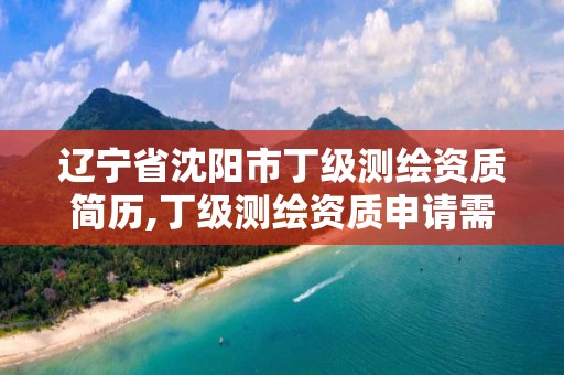 遼寧省沈陽市丁級測繪資質簡歷,丁級測繪資質申請需要什么儀器