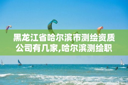 黑龍江省哈爾濱市測繪資質(zhì)公司有幾家,哈爾濱測繪職工中等專業(yè)學(xué)校。