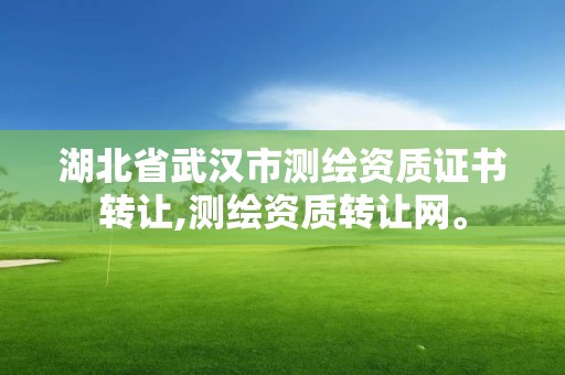 湖北省武漢市測繪資質證書轉讓,測繪資質轉讓網。