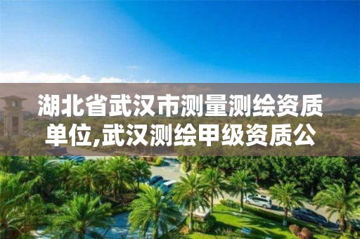 湖北省武漢市測量測繪資質單位,武漢測繪甲級資質公司