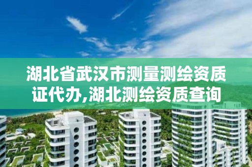 湖北省武漢市測量測繪資質證代辦,湖北測繪資質查詢