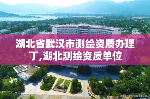 湖北省武漢市測繪資質辦理丁,湖北測繪資質單位