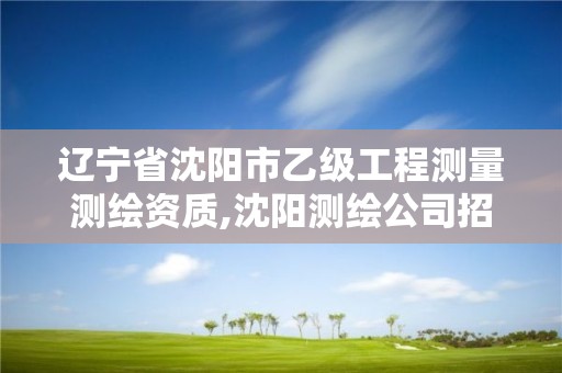 遼寧省沈陽市乙級工程測量測繪資質,沈陽測繪公司招聘信息最新招聘