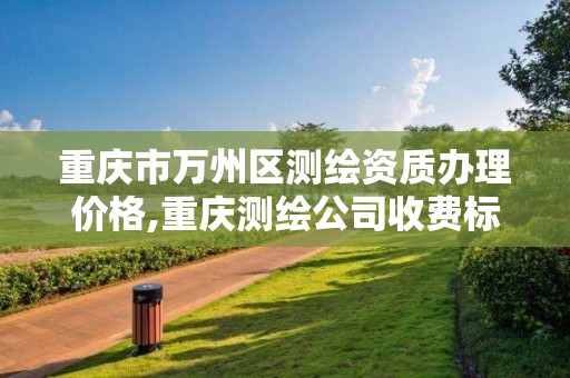 重慶市萬州區測繪資質辦理價格,重慶測繪公司收費標準