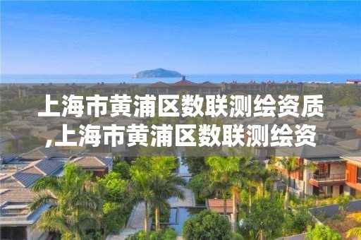 上海市黃浦區數聯測繪資質,上海市黃浦區數聯測繪資質公司