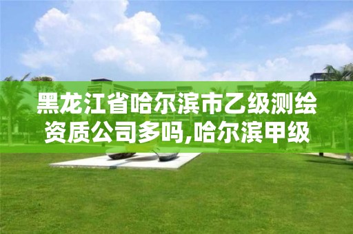 黑龍江省哈爾濱市乙級測繪資質公司多嗎,哈爾濱甲級測繪公司