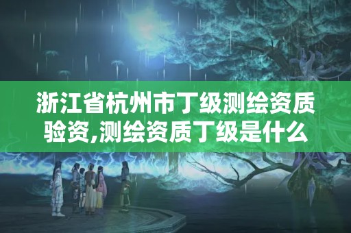 浙江省杭州市丁級測繪資質驗資,測繪資質丁級是什么意思