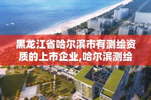 黑龍江省哈爾濱市有測繪資質的上市企業,哈爾濱測繪局是干什么的。