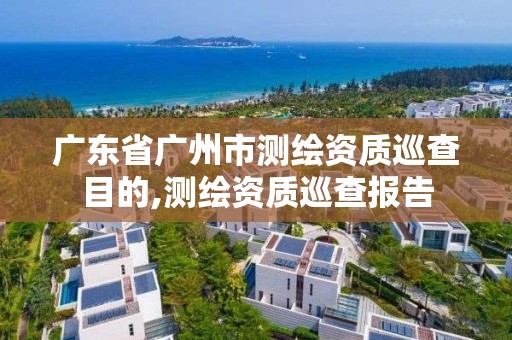 廣東省廣州市測繪資質巡查目的,測繪資質巡查報告