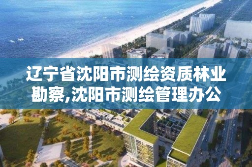 遼寧省沈陽市測繪資質林業勘察,沈陽市測繪管理辦公室