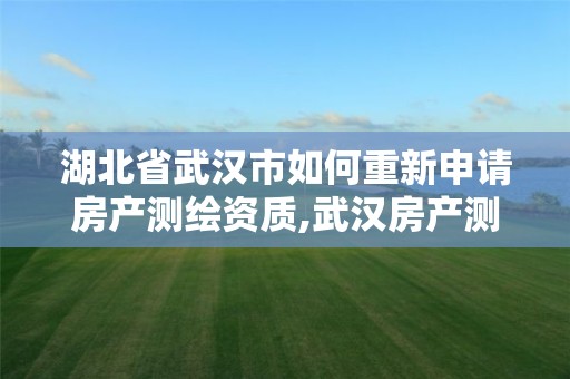 湖北省武漢市如何重新申請房產測繪資質,武漢房產測繪中心主要做什么。