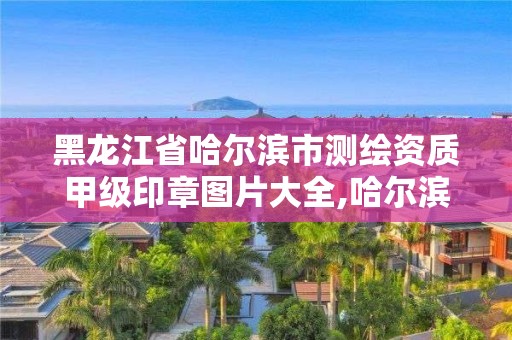 黑龍江省哈爾濱市測繪資質甲級印章圖片大全,哈爾濱測繪局怎么樣。