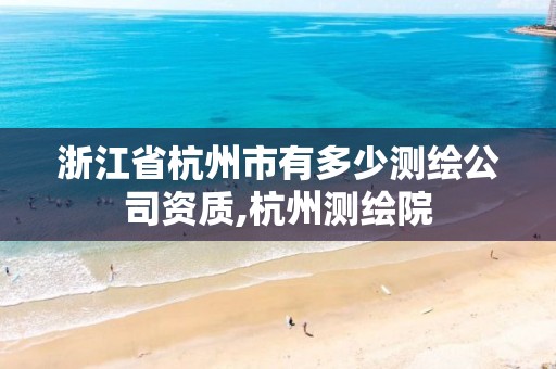 浙江省杭州市有多少測繪公司資質,杭州測繪院