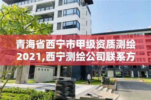 青海省西寧市甲級(jí)資質(zhì)測(cè)繪2021,西寧測(cè)繪公司聯(lián)系方式