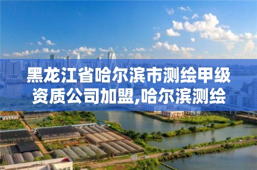 黑龍江省哈爾濱市測繪甲級資質公司加盟,哈爾濱測繪公司哪家好