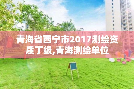 青海省西寧市2017測繪資質丁級,青海測繪單位