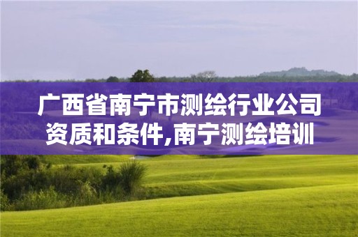 廣西省南寧市測繪行業公司資質和條件,南寧測繪培訓機構。