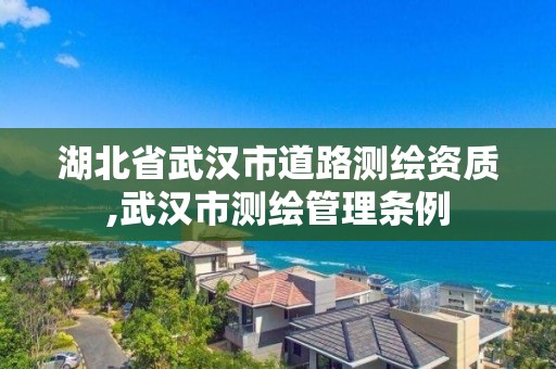 湖北省武漢市道路測繪資質,武漢市測繪管理條例