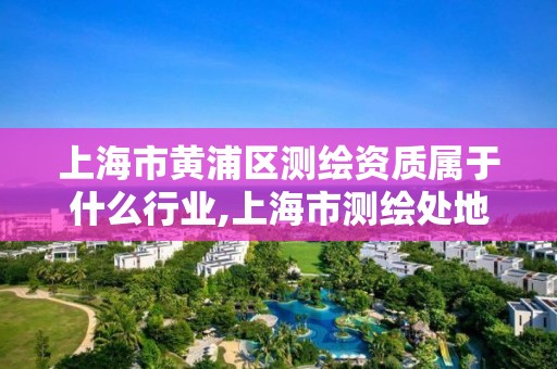 上海市黃浦區測繪資質屬于什么行業,上海市測繪處地址