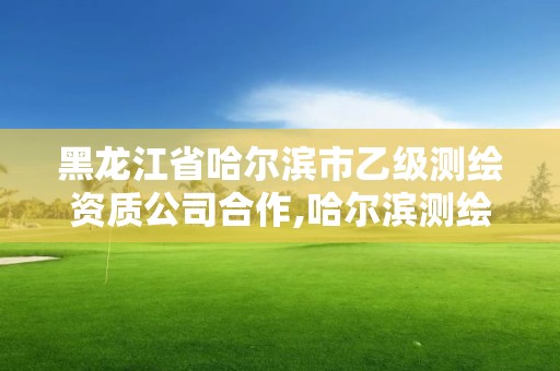 黑龍江省哈爾濱市乙級測繪資質(zhì)公司合作,哈爾濱測繪公司招聘