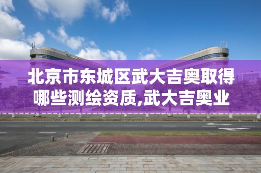 北京市東城區武大吉奧取得哪些測繪資質,武大吉奧業內怎么樣。