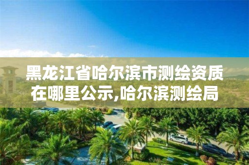 黑龍江省哈爾濱市測繪資質在哪里公示,哈爾濱測繪局是干什么的