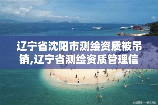 遼寧省沈陽市測繪資質被吊銷,遼寧省測繪資質管理信息系統