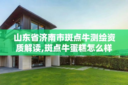 山東省濟南市斑點牛測繪資質解讀,斑點牛蛋糕怎么樣