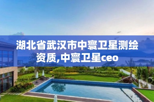 湖北省武漢市中寰衛星測繪資質,中寰衛星ceo